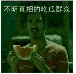 不明真相吃瓜群众车贴,揭秘“不明真相吃瓜群众”车贴背后的趣味与思考