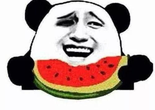 吃瓜群众老哥是谁啊,网络红人的崛起之路