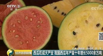 中国最新吃瓜群众视频,揭秘网络热点背后的故事