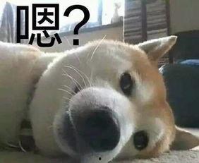 吃瓜群众笑哭了表情包,笑到肚子疼！吃瓜群众笑哭表情包走红网络