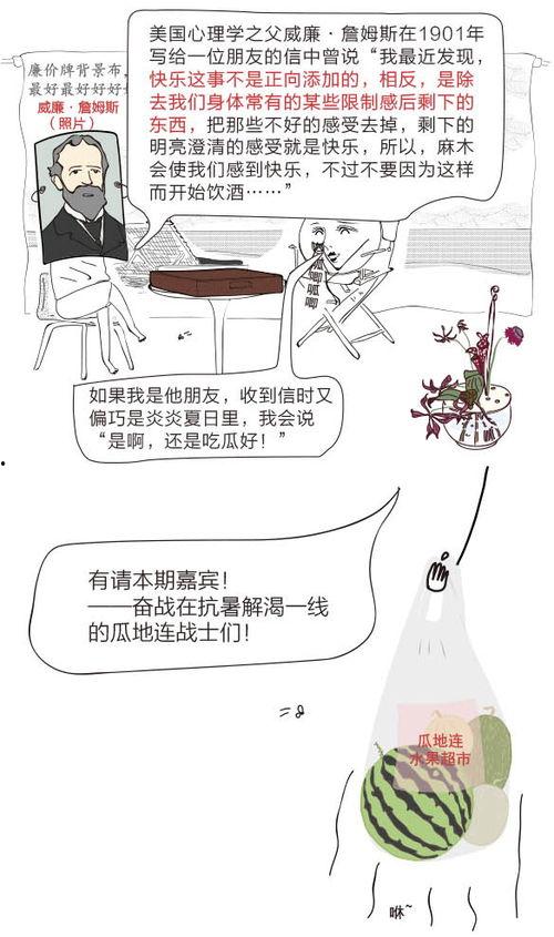 朝阳区的吃瓜群众事件,一场网络舆论的风暴与反思