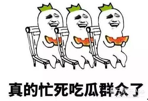 你选哪一个吃瓜群众的人,吃瓜群众视角下的娱乐圈风云录