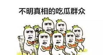 关于吃瓜群众素材,网络时代的围观力量