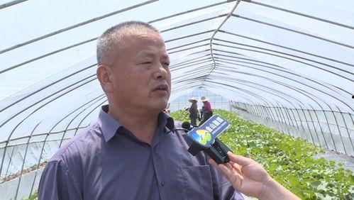 吃瓜群众老上海风情,吃瓜群众眼中的市井百态