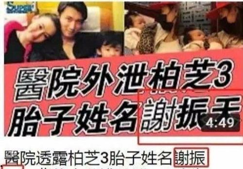 前线吃瓜群众名字怎么取,揭秘战地风云中的民间视角