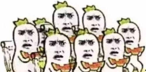 吃瓜群众哈尔滨龙宝,吃瓜群众眼中的冰城新宠