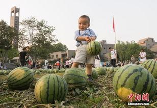 校园里的吃瓜群众是谁,揭秘校园里的“八卦风云”