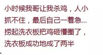 没脾气了吃瓜群众,揭秘网络热议背后的真实心态