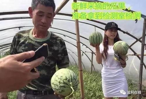 滨州吃瓜群众直播,揭秘当地生活百态