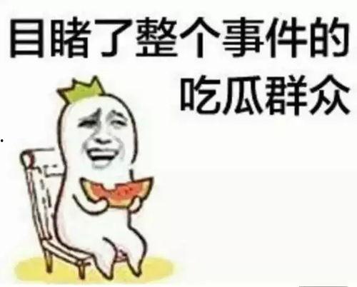 faye吃瓜群众,吃瓜群众的视角，揭秘娱乐圈风云