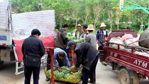 洛宁县城吃瓜群众案件最新,揭秘网络谣言背后的真相