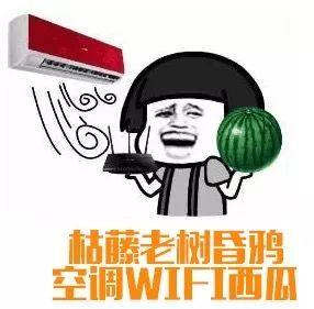 夏天是个吃瓜群众