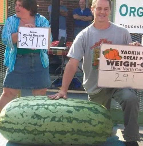 专业户吃瓜群众,揭秘娱乐圈幕后风云