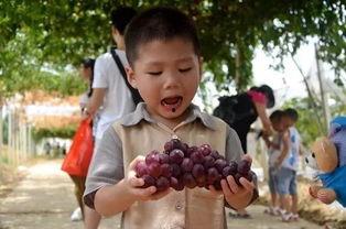 吃瓜群众疯狂版