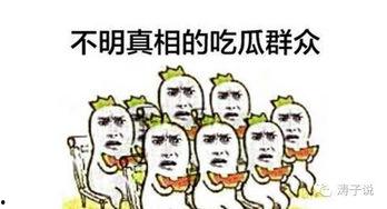 吃瓜群众文章合集下载,揭秘娱乐圈幕后故事
