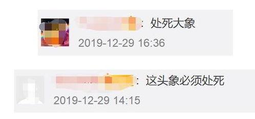 手机吃瓜群众照片