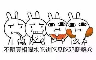 吃瓜群众爱八卦小说